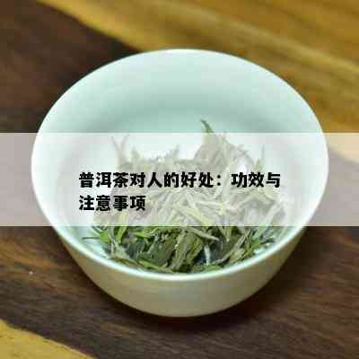 普洱茶对人的好处：功效与注意事项