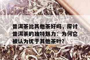 普洱茶比其他茶好吗，探讨普洱茶的独特魅力：为何它被认为优于其他茶叶？