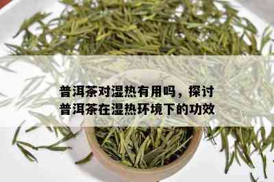 普洱茶对湿热有用吗，探讨普洱茶在湿热环境下的功效