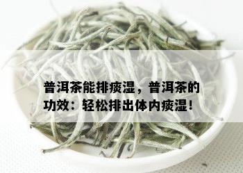 普洱茶能排痰湿，普洱茶的功效：轻松排出体内痰湿！