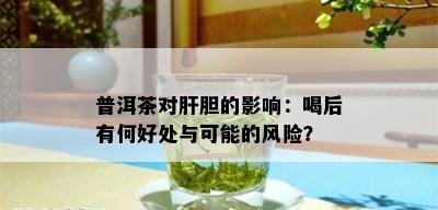 普洱茶对肝胆的影响：喝后有何好处与可能的风险？