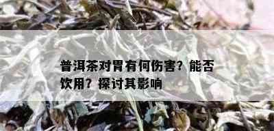 普洱茶对胃有何伤害？能否饮用？探讨其影响