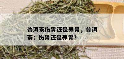 普洱茶伤胃还是养胃，普洱茶：伤胃还是养胃？