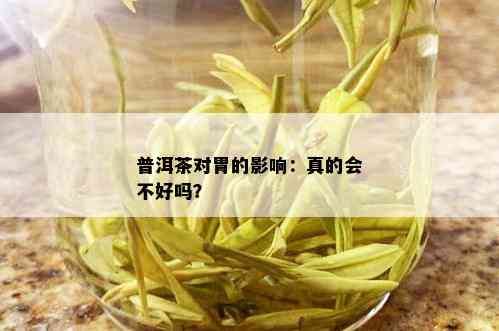 普洱茶对胃的影响：真的会不好吗？