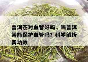 普洱茶对血管好吗，喝普洱茶能保护血管吗？科学解析其功效