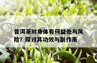 普洱茶对身体有何益处与风险？探讨其功效与副作用