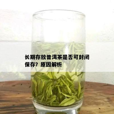 长期存放普洱茶是否可封闭保存？原因解析