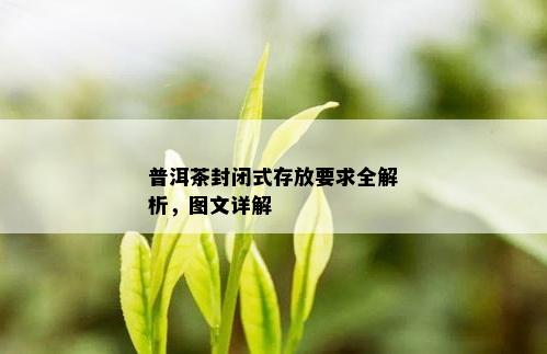 普洱茶封闭式存放要求全解析，图文详解