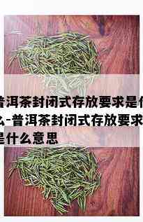 普洱茶封闭式存放要求是什么-普洱茶封闭式存放要求是什么意思