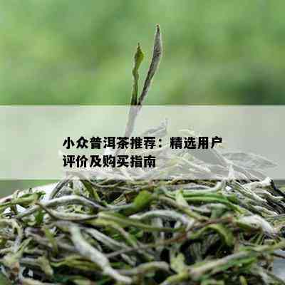 小众普洱茶推荐：精选用户评价及购买指南