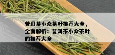 普洱茶小众茶叶推荐大全，全面解析：普洱茶小众茶叶的推荐大全