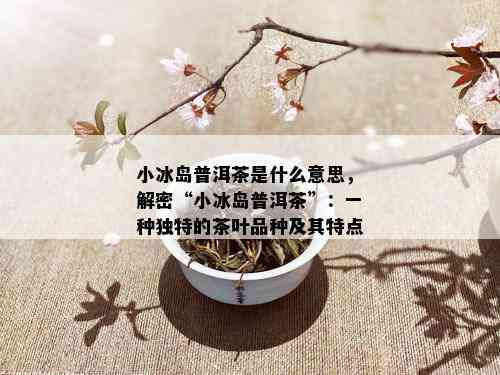 小冰岛普洱茶是什么意思，解密“小冰岛普洱茶”：一种独特的茶叶品种及其特点