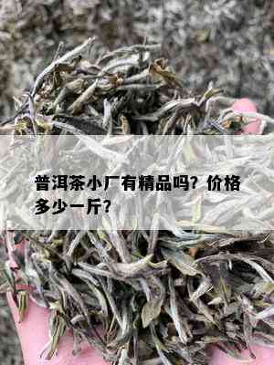 普洱茶小厂有精品吗？价格多少一斤？