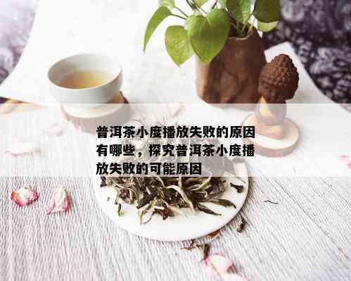 普洱茶小度播放失败的原因有哪些，探究普洱茶小度播放失败的可能原因