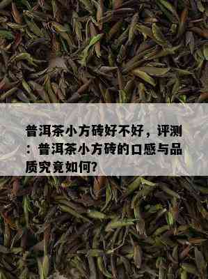 普洱茶小方砖好不好，评测：普洱茶小方砖的口感与品质究竟如何？