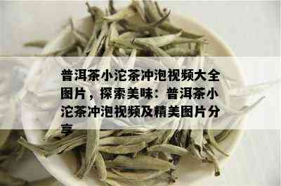 普洱茶小沱茶冲泡视频大全图片，探索美味：普洱茶小沱茶冲泡视频及精美图片分享