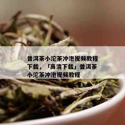 普洱茶小沱茶冲泡视频教程下载，「高清下载」普洱茶小沱茶冲泡视频教程