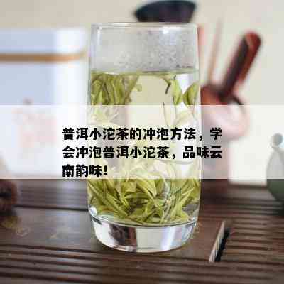 普洱小沱茶的冲泡方法，学会冲泡普洱小沱茶，品味云南韵味！