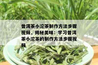 普洱茶小沱茶制作方法步骤视频，揭秘美味：学习普洱茶小沱茶的制作方法步骤视频