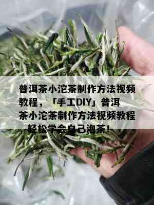 普洱茶小沱茶制作方法视频教程，「手工DIY」普洱茶小沱茶制作方法视频教程，轻松学会自己泡茶！