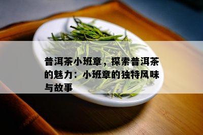 普洱茶小班章，探索普洱茶的魅力：小班章的独特风味与故事