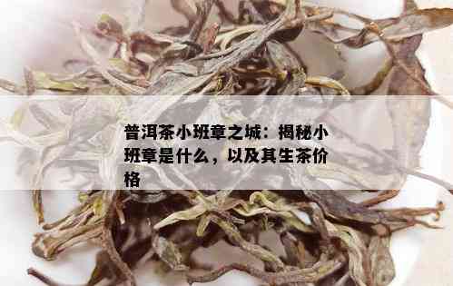 普洱茶小班章之城：揭秘小班章是什么，以及其生茶价格