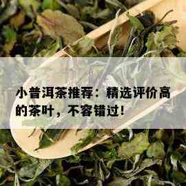 小普洱茶推荐：精选评价高的茶叶，不容错过！