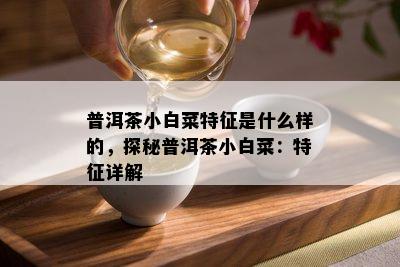 普洱茶小白菜特征是什么样的，探秘普洱茶小白菜：特征详解