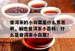 普洱茶的小白菜是什么意思啊，解密普洱茶小百科：什么是普洱茶小白菜？