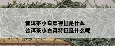 普洱茶小白菜特征是什么-普洱茶小白菜特征是什么呢