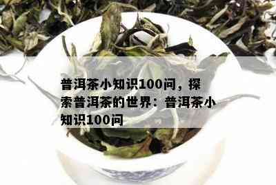 普洱茶小知识100问，探索普洱茶的世界：普洱茶小知识100问