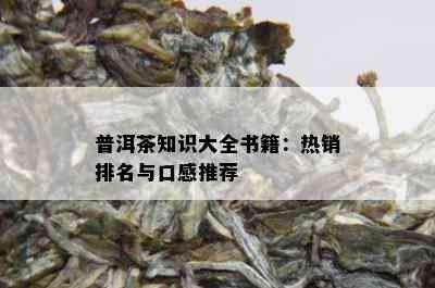 普洱茶知识大全书籍：热销排名与口感推荐