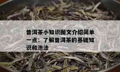 普洱茶小知识图文介绍简单一点：了解普洱茶的基础知识和泡法