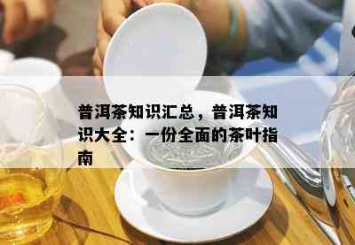 普洱茶知识汇总，普洱茶知识大全：一份全面的茶叶指南