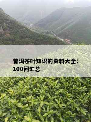 普洱茶叶知识的资料大全：100问汇总