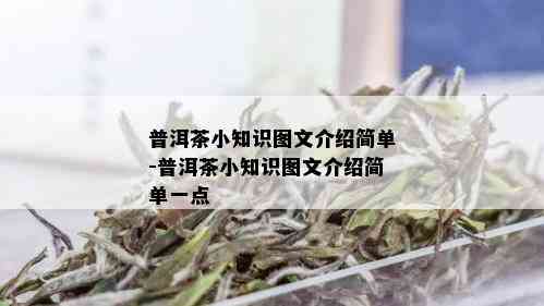 普洱茶小知识图文介绍简单-普洱茶小知识图文介绍简单一点