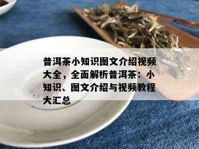 普洱茶小知识图文介绍视频大全，全面解析普洱茶：小知识、图文介绍与视频教程大汇总