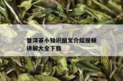 普洱茶小知识图文介绍视频讲解大全下载