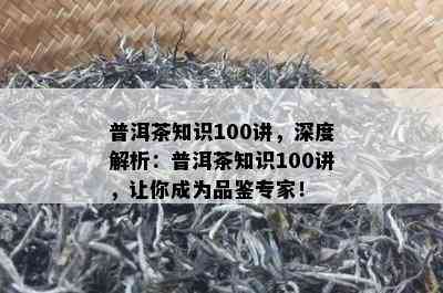 普洱茶知识100讲，深度解析：普洱茶知识100讲，让你成为品鉴专家！