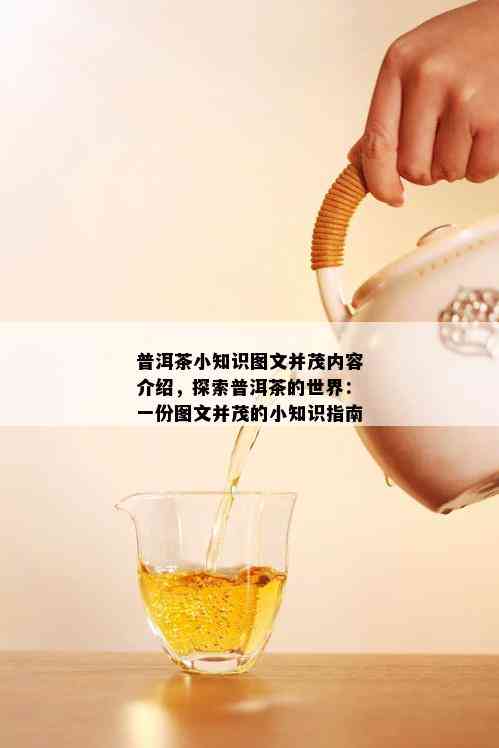 普洱茶小知识图文并茂内容介绍，探索普洱茶的世界：一份图文并茂的小知识指南