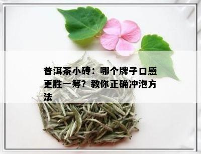 普洱茶小砖：哪个牌子口感更胜一筹？教你正确冲泡方法