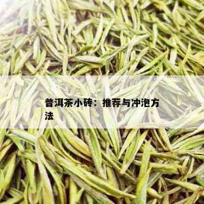 普洱茶小砖：推荐与冲泡方法