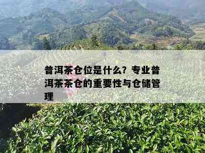 普洱茶仓位是什么？专业普洱茶茶仓的重要性与仓储管理