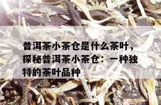 普洱茶小茶仓是什么茶叶，探秘普洱茶小茶仓：一种独特的茶叶品种