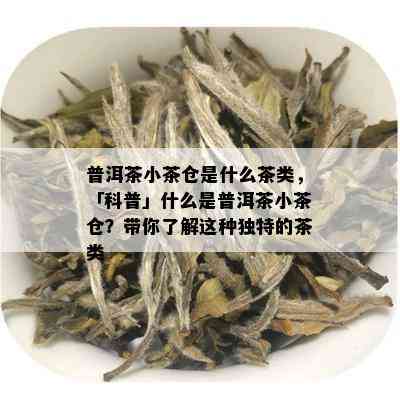 普洱茶小茶仓是什么茶类，「科普」什么是普洱茶小茶仓？带你了解这种独特的茶类