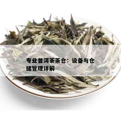 专业普洱茶茶仓：设备与仓储管理详解