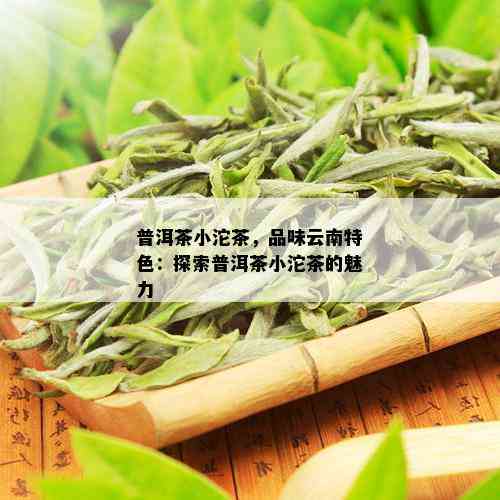 普洱茶小沱茶，品味云南特色：探索普洱茶小沱茶的魅力