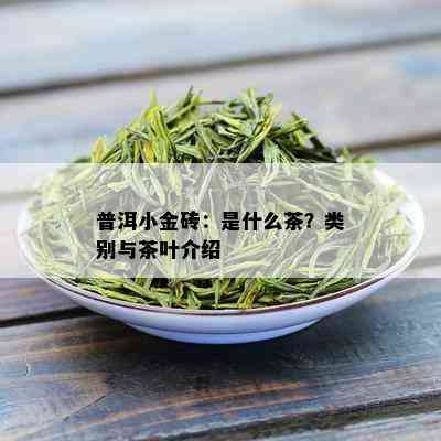 普洱小金砖：是什么茶？类别与茶叶介绍