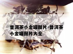 普洱茶小金罐图片-普洱茶小金罐图片大全