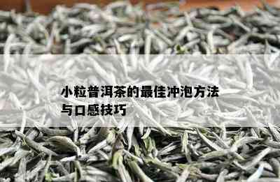 小粒普洱茶的更佳冲泡方法与口感技巧